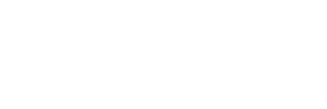 Lewitt Family Foundation